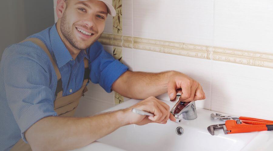 Professional Leak Detection Services services in Burlington, MI